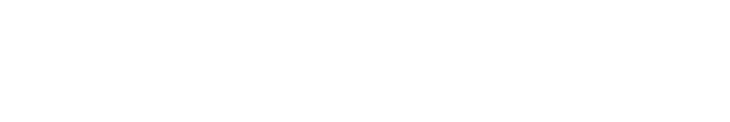 National Commission for the Investigation of the 10/29 Itaewon Disaster